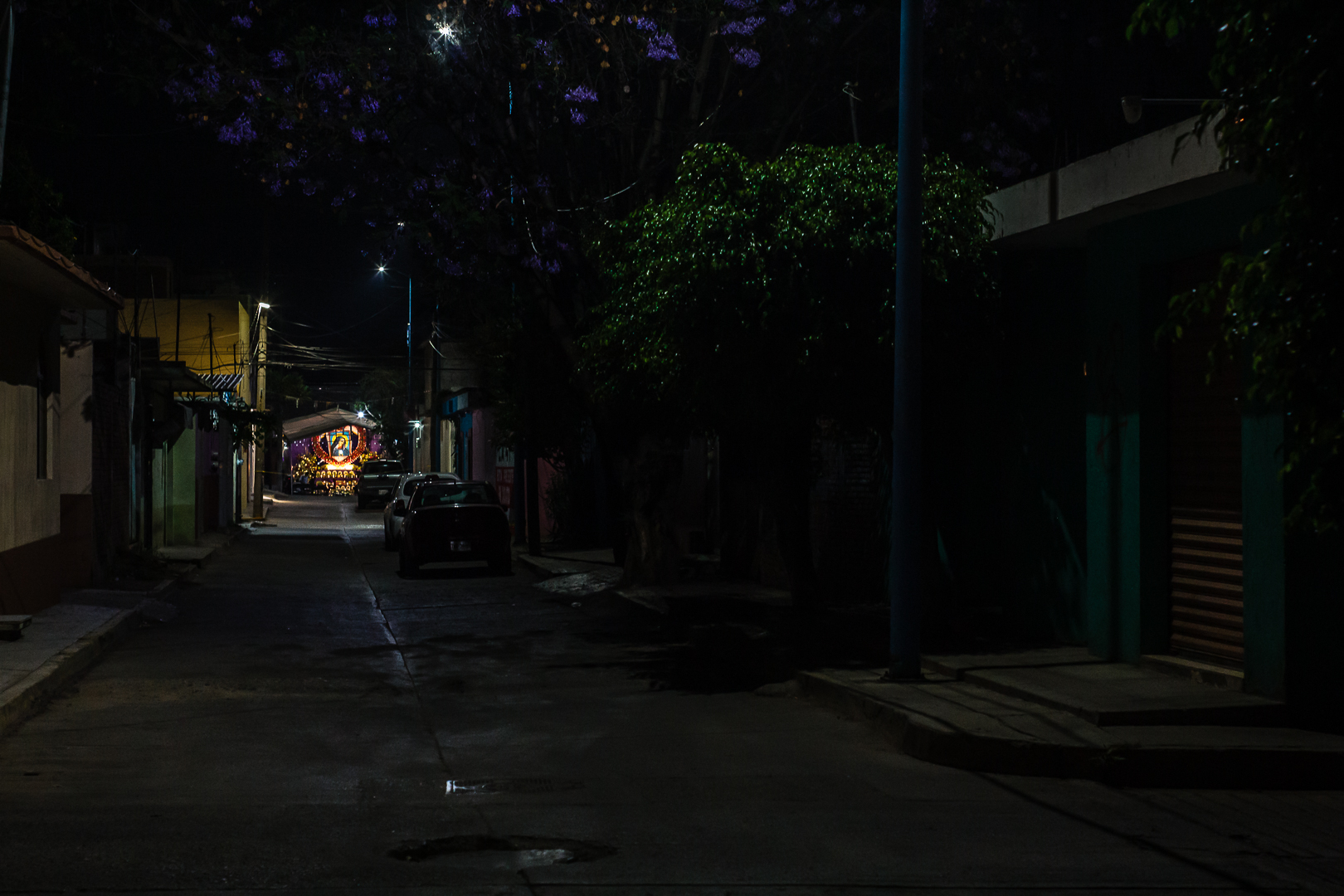 Altares de Viernes de Dolores Xoxocotlán